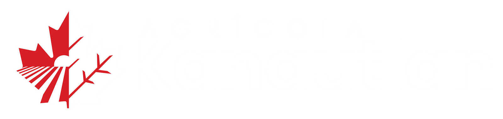 Agrícola Kanautlan - Papas de Calidad
